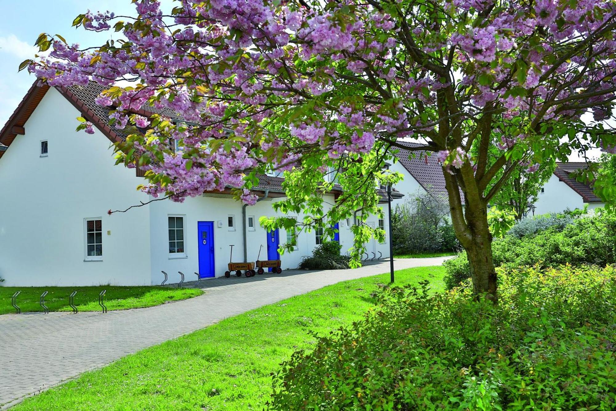 Feriendorf Rerik Esterno foto